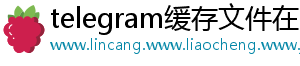 telegram缓存文件在哪